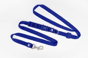 25mm Basic Hands Free Dog Leash Blue