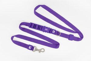 Purple Hands Free Dog Leash