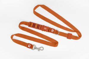 25mm Basic Hands Free Dog Leash
