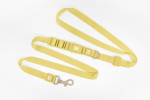 25mm Basic Hands Free Dog Leash