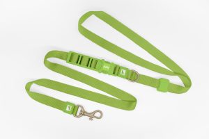 Green Hands Free Dog Leash