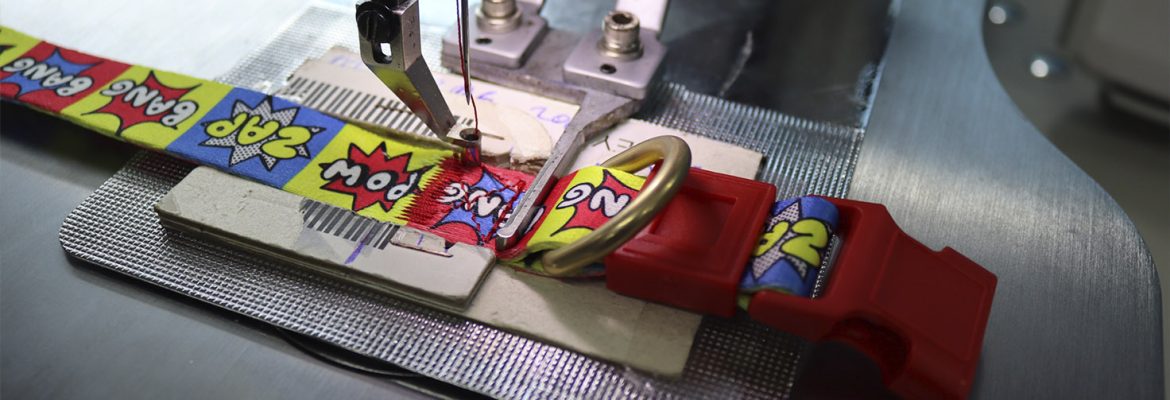 The Role of Customization in Building Your Pet Brand