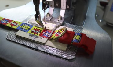 The Role of Customization in Building Your Pet Brand