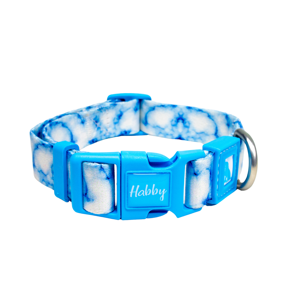 Patterned Dog Collar