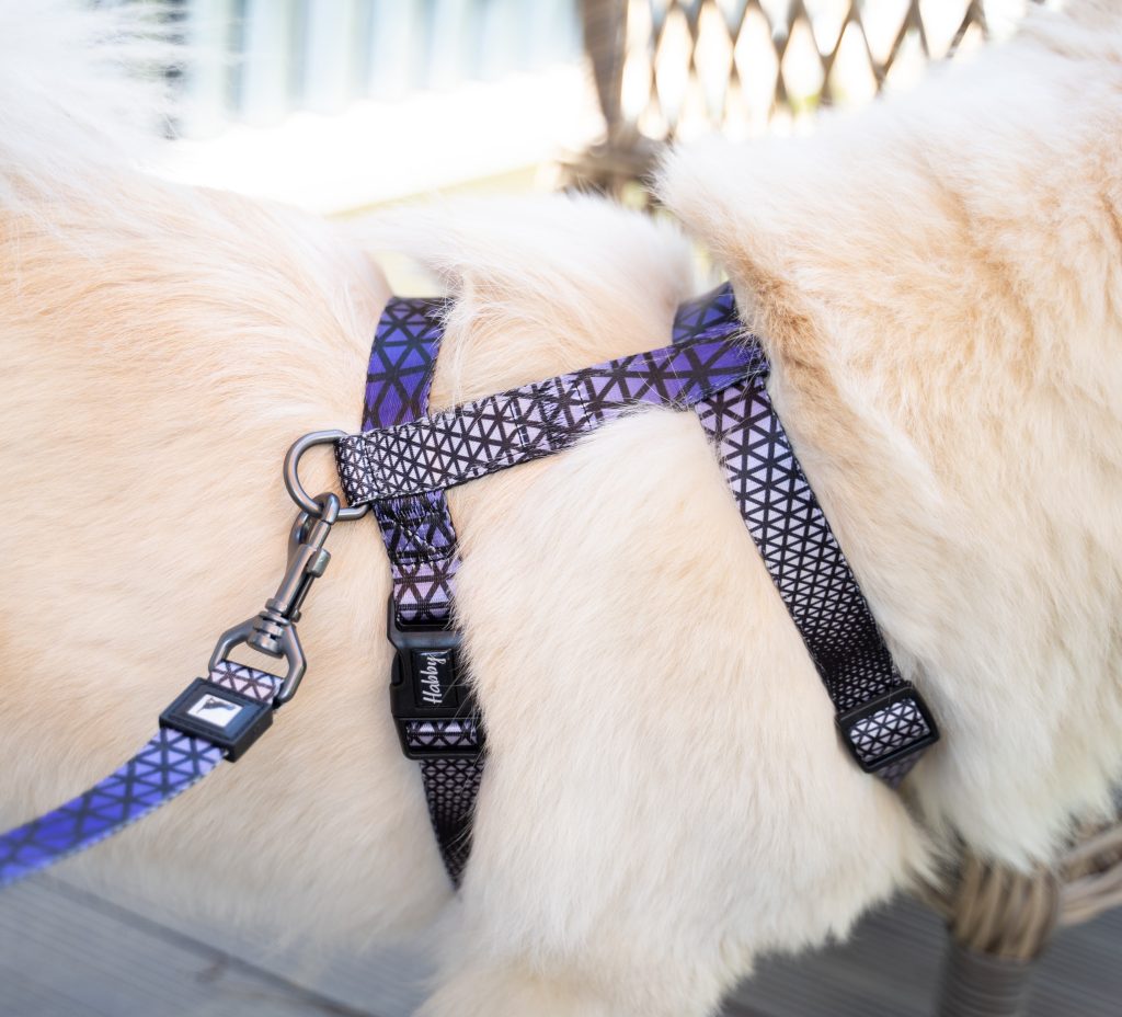 Dog Harnesses