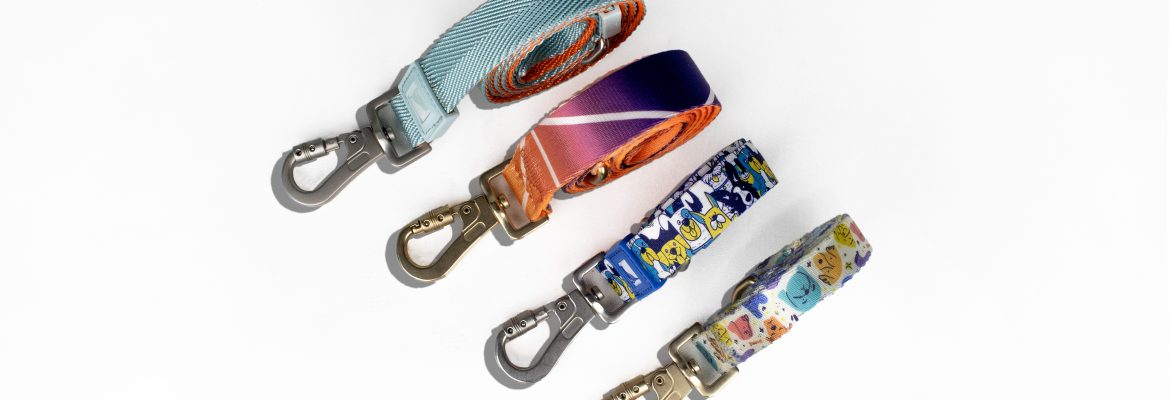 Top 5 Things to Consider When Choosing Bulk Pet Products