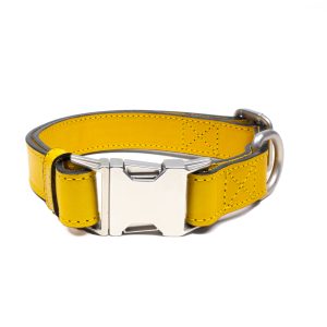 Mustard Leather Dog Collar