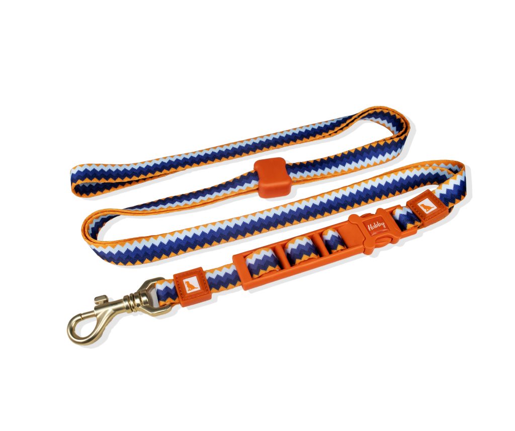 Recycle Hands Free Dog Leash