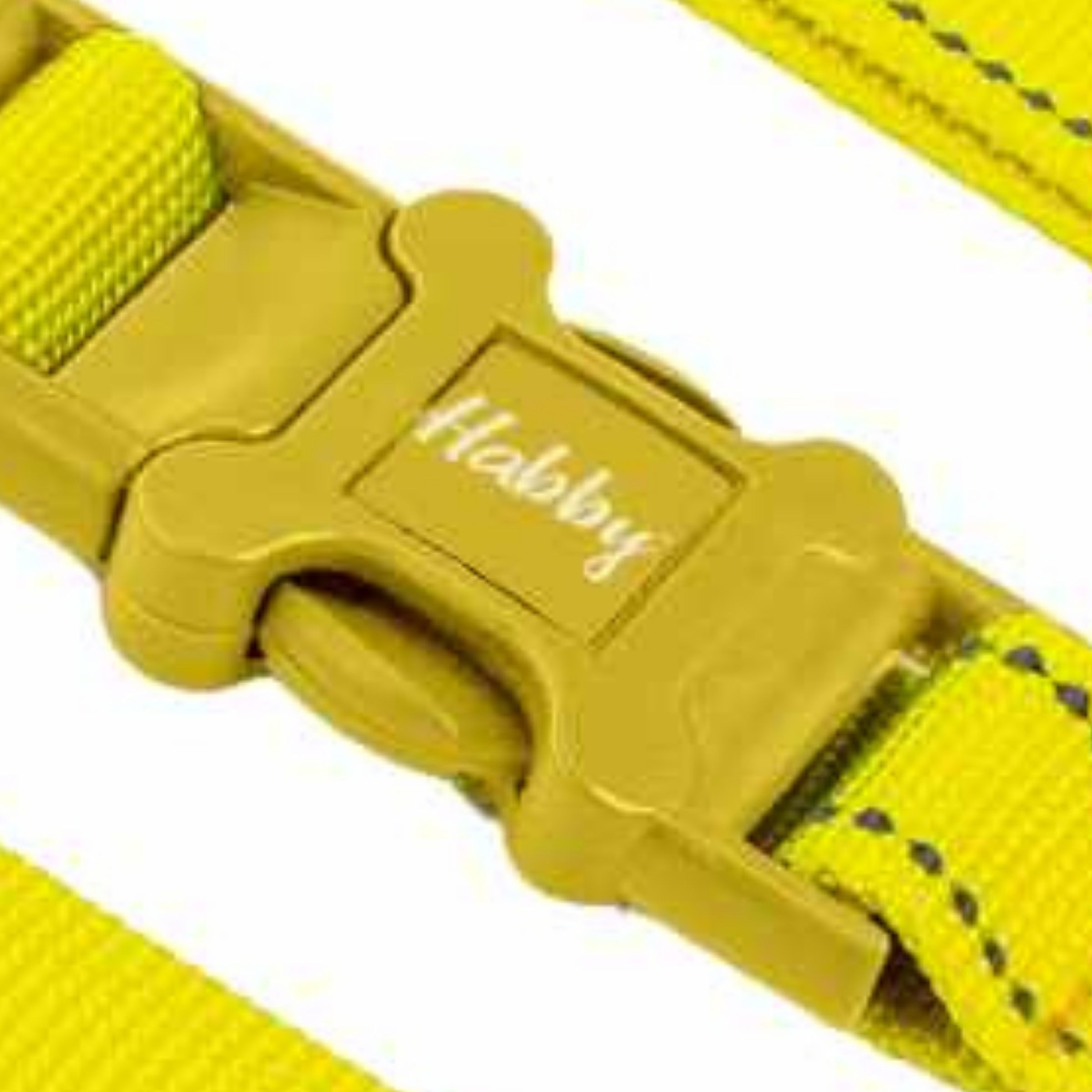 Plastic Buckle