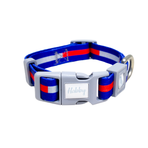 Strip Dog Collar