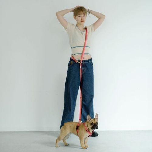 Reflective Hands Free Dog Leash