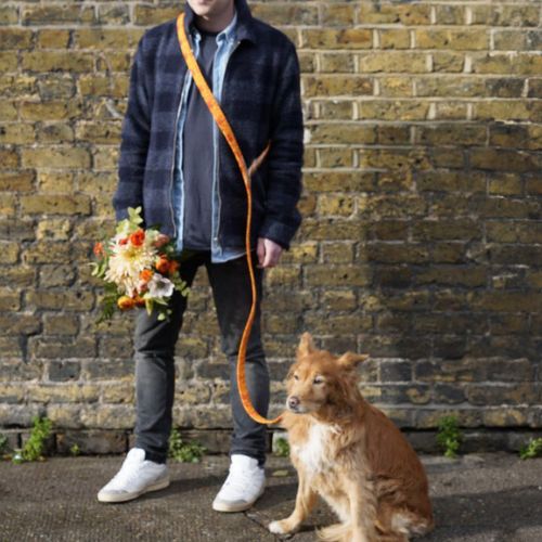 Patterned Hands Free Dog Leash