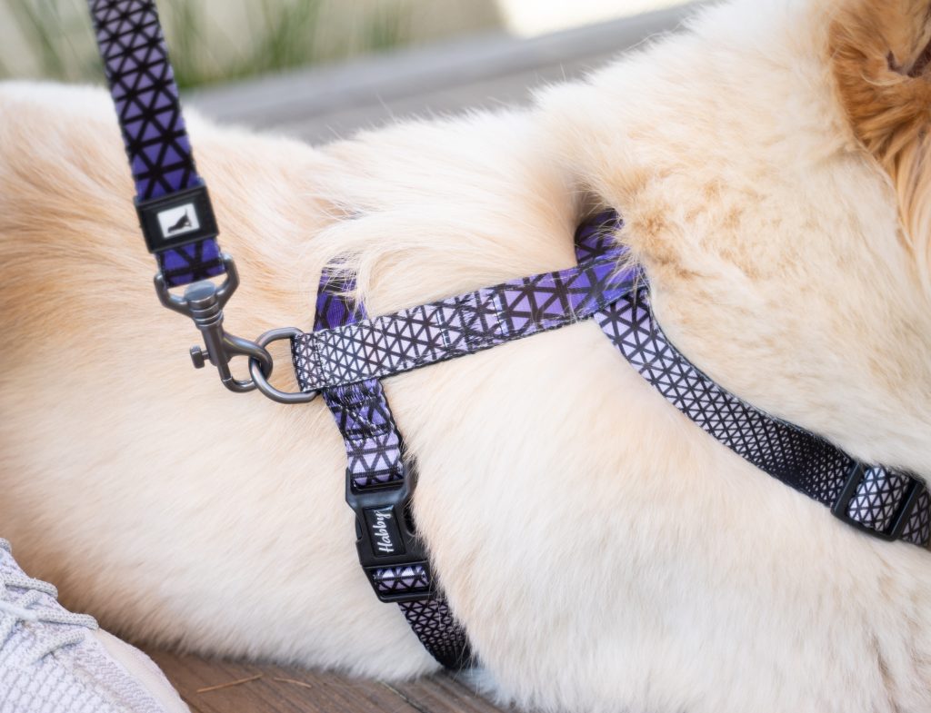 Patterned Dog Harnesses