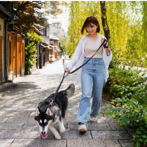 Reflective Dog Leash