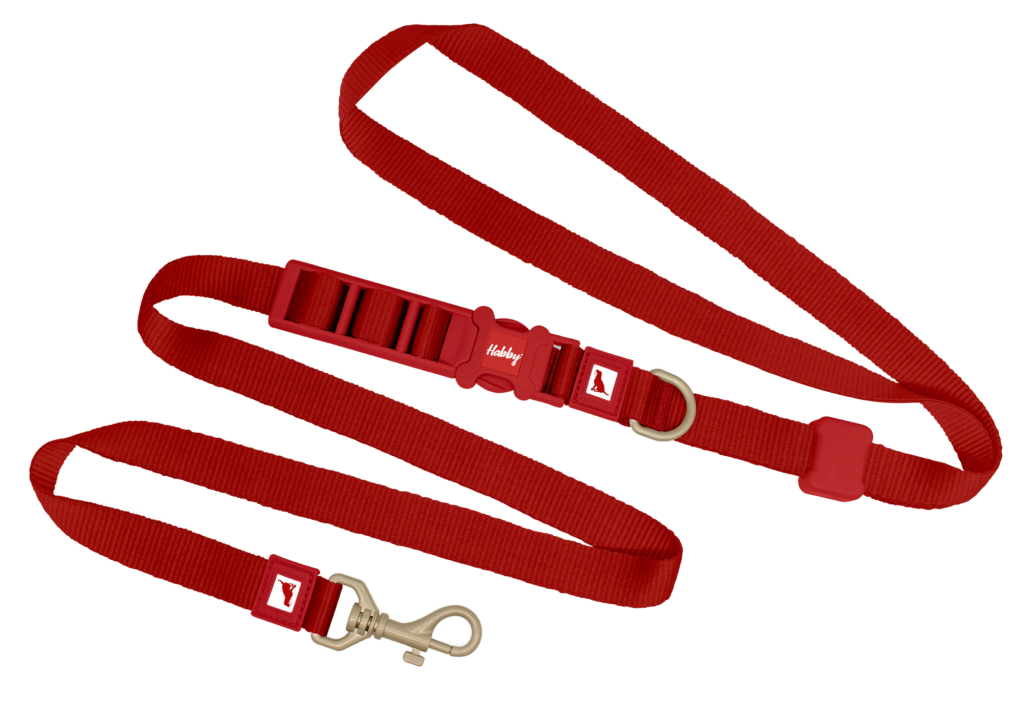 Hands-Free Dog Leash