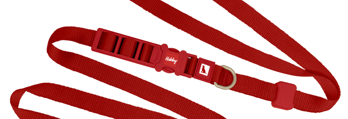 Hands-Free Dog Leash