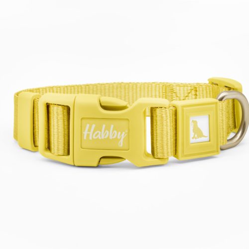 Butter Yellow Dog Collar