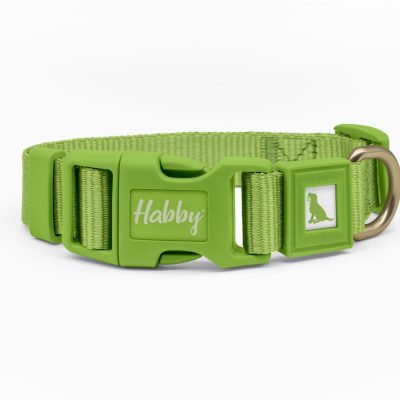 25mm Dog Collar