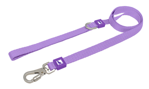 Basic Hands Free Leash