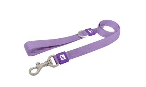 Dog Leash