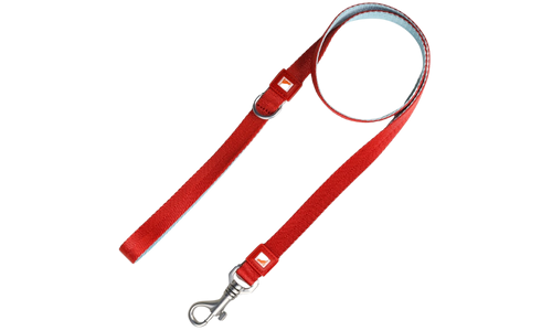 Heavy Duty Hands Free Leash