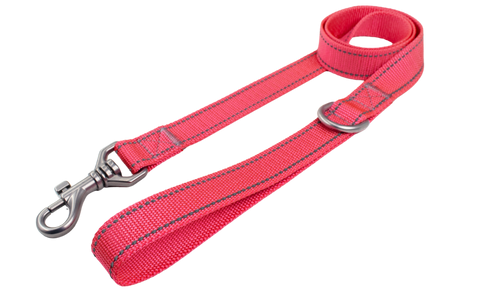 Dog Leash