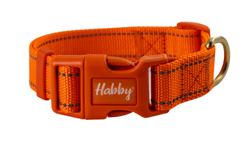 Reflective Collar